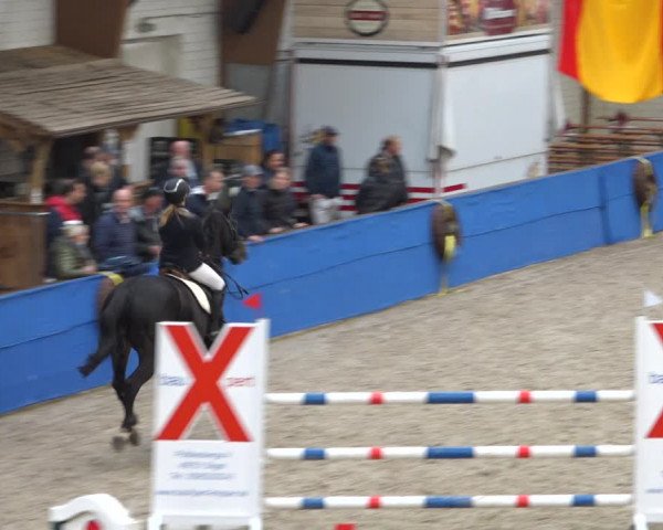 Reitturnier Sögel 2021