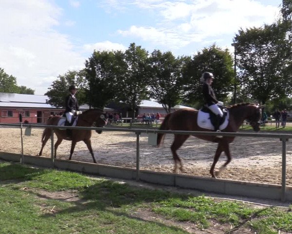 Reitturnier Ascheberg 2020