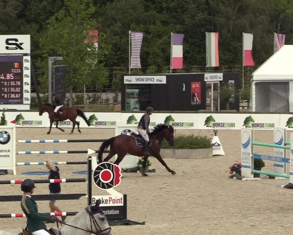 GOLDLEAGUE Lier - CS N 6323 - Azelhof