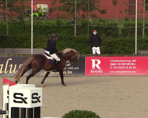 GOLDLEAGUE Lier - CS N 6323 - Azelhof