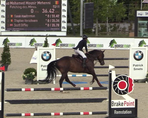 GOLDLEAGUE Lier - CS N 6323 - Azelhof