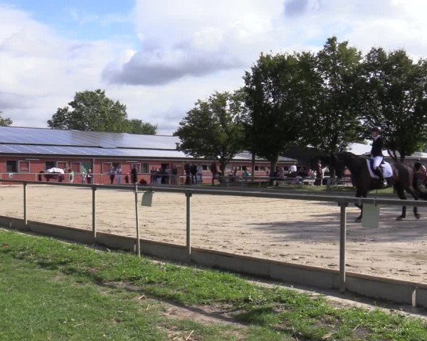 Reitturnier Ascheberg 2020