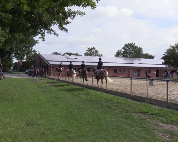 Reitturnier Ascheberg 2020