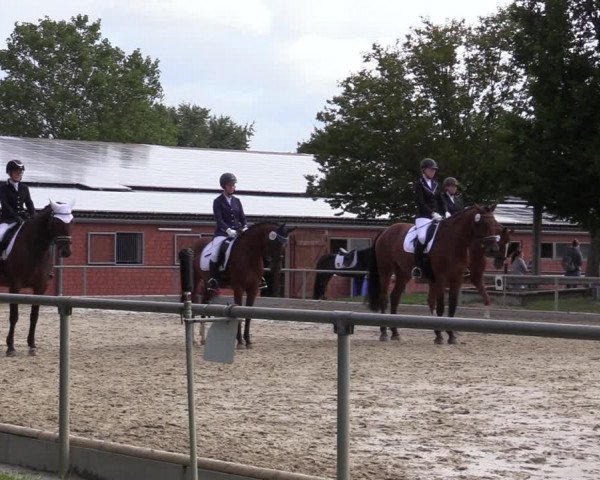 Reitturnier Ascheberg 2020