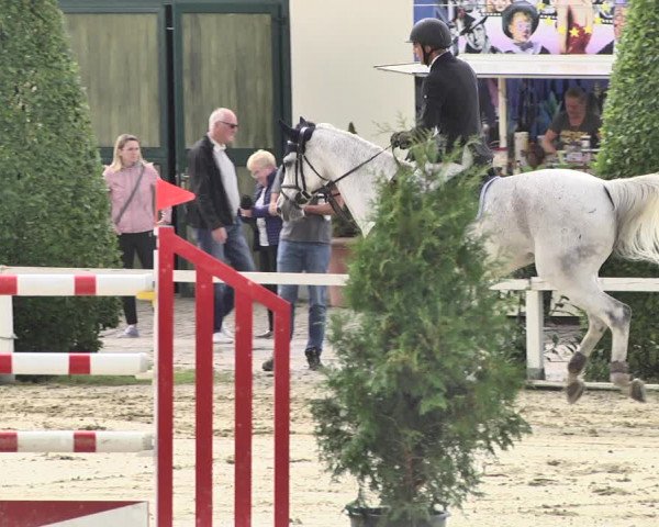 Reitturnier St.Wendel, Gestüt Welvert 2020
