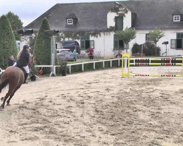 Reitturnier St.Wendel, Gestüt Welvert 2020