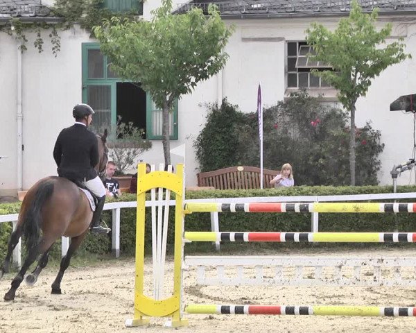 Reitturnier St.Wendel, Gestüt Welvert 2020