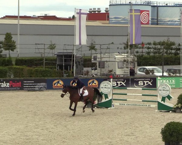 GOLDLEAGUE Lier - CS N 6323 - Azelhof