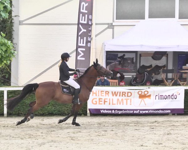 Reitturnier St.Wendel, Gestüt Welvert 2020