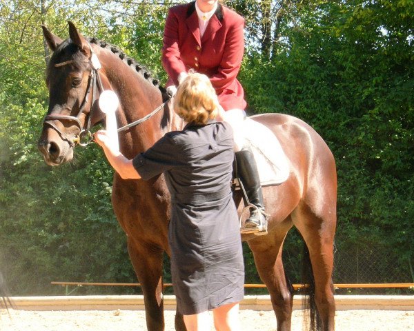 dressage horse Confession H.S. (Bavarian, 2004, from Conteur) dressage horse Confession H.S. (Bavarian, 2004, from Conteur)