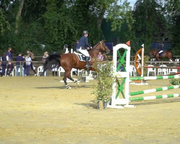 Reitturnier Willich-Anrath-Neersen 2020