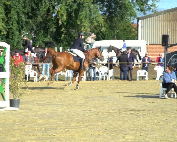 Reitturnier Willich-Anrath-Neersen 2020
