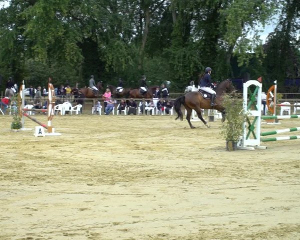 Reitturnier Willich-Anrath-Neersen 2020