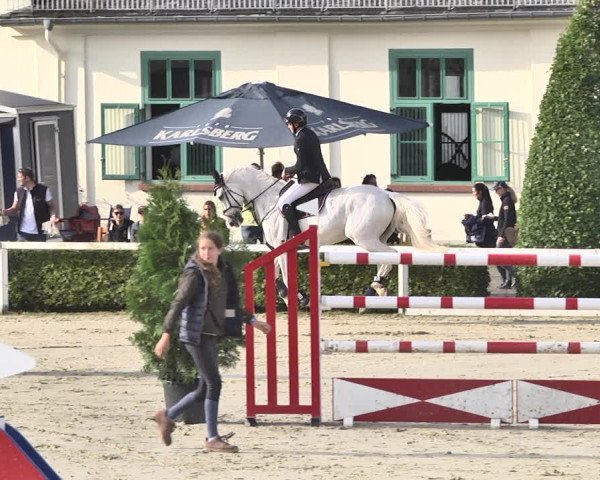 Reitturnier St.Wendel, Gestüt Welvert 2020