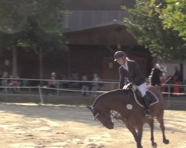 Reitturnier Ascheberg 2020