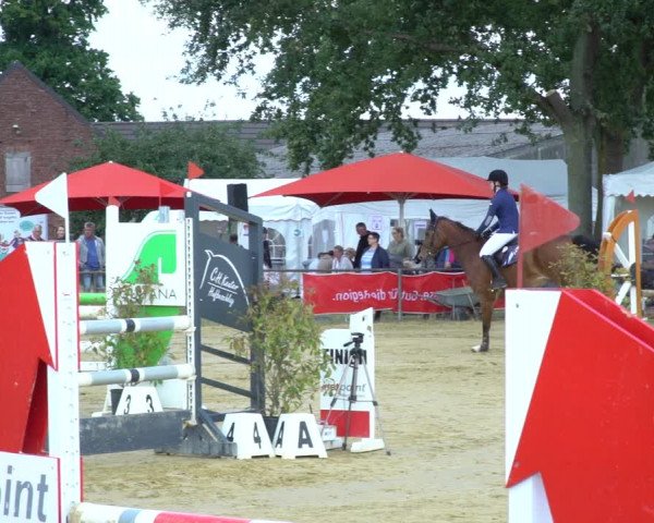 Reitturnier Willich-Anrath-Neersen 2020