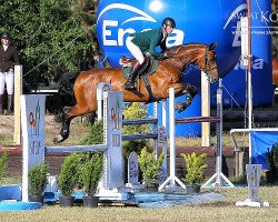 jumper Versace L (polish noble half-breed, 2007, from Cajero)