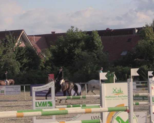 Reitturnier Ascheberg 2020