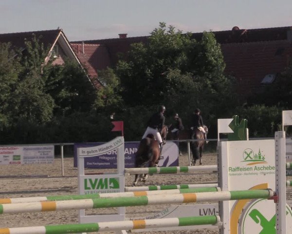 Reitturnier Ascheberg 2020