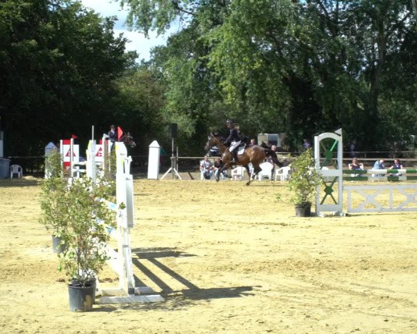 Reitturnier Willich-Anrath-Neersen 2020