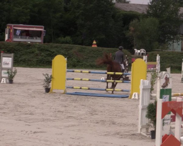 Reitturnier Pietzpuhl 2020