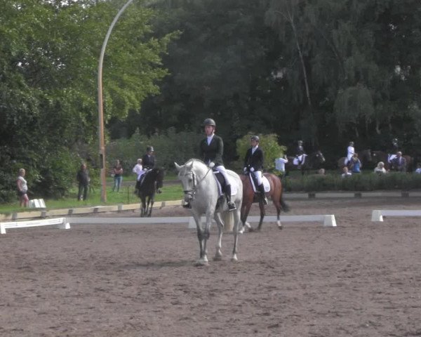 Reitturnier Dallgow 2020