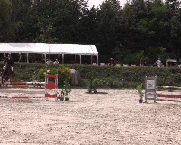 Reitturnier Pietzpuhl 2020