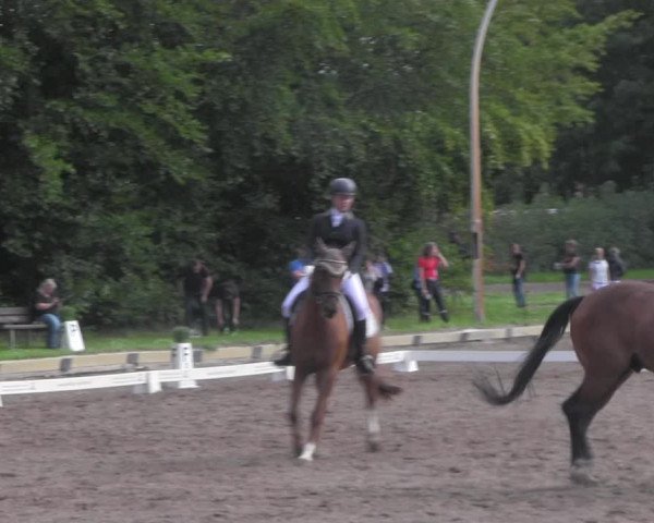 Reitturnier Dallgow 2020