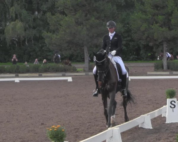 Reitturnier Dallgow 2020