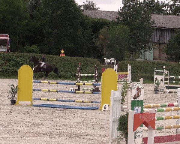 Reitturnier Pietzpuhl 2020