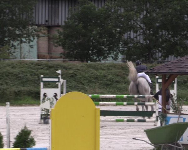Reitturnier Pietzpuhl 2020