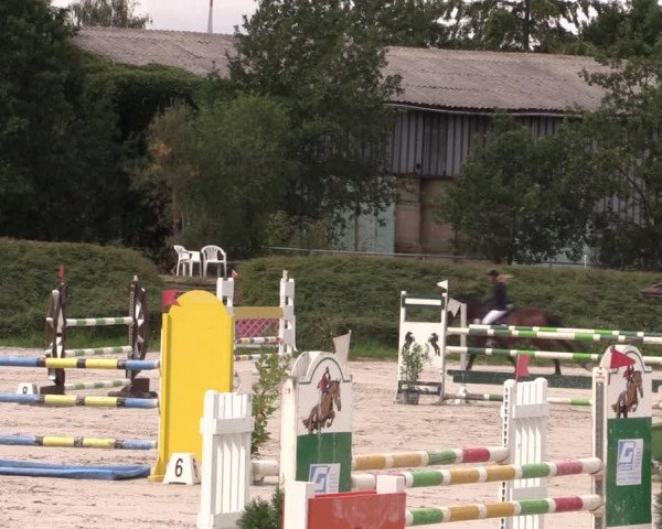 Reitturnier Pietzpuhl 2020