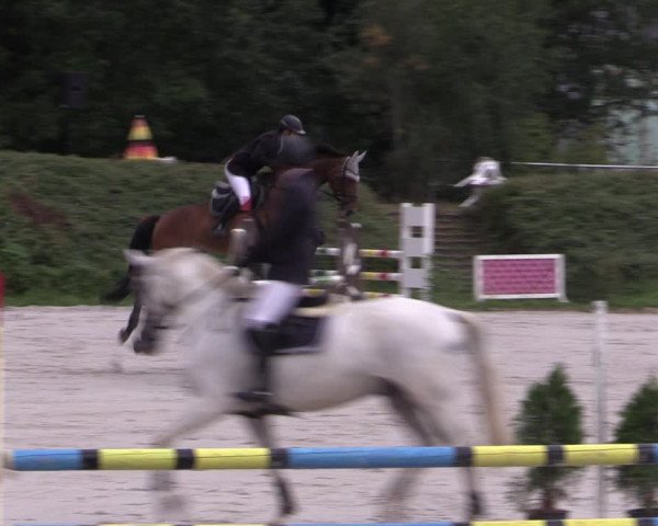 Reitturnier Pietzpuhl 2020