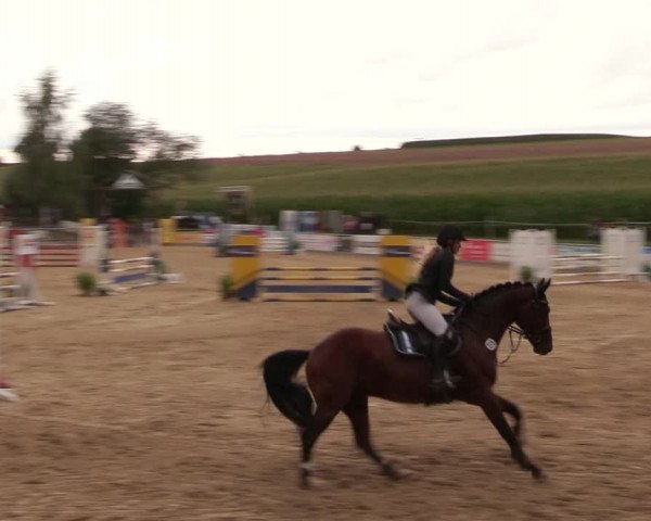 Reitturnier Duderstadt 2020