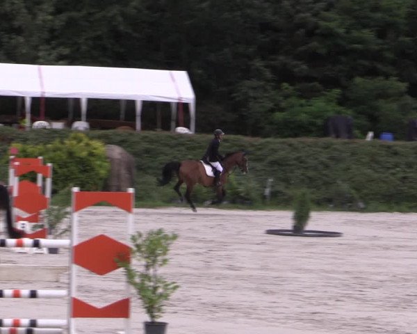Reitturnier Pietzpuhl 2020