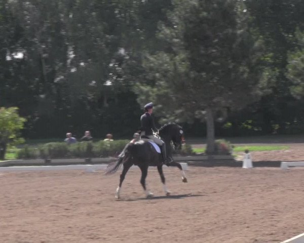 Reitturnier Dallgow 2020