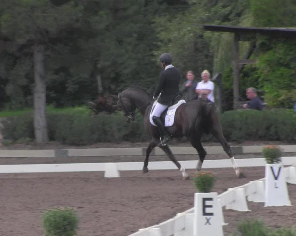 Reitturnier Dallgow 2020