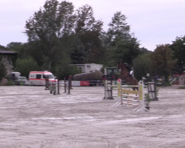 Reitturnier Pietzpuhl 2020