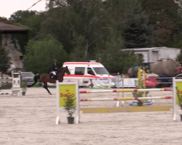 Reitturnier Pietzpuhl 2020