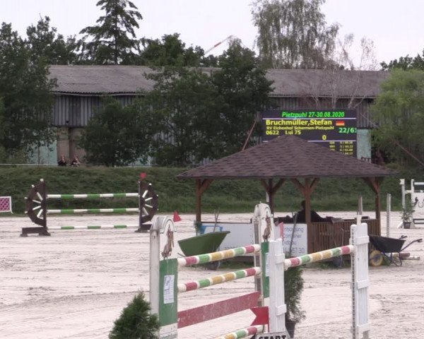 Reitturnier Pietzpuhl 2020