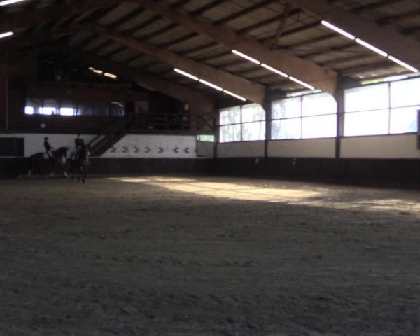 Reitturnier Bühren-Breckerfeld 2020