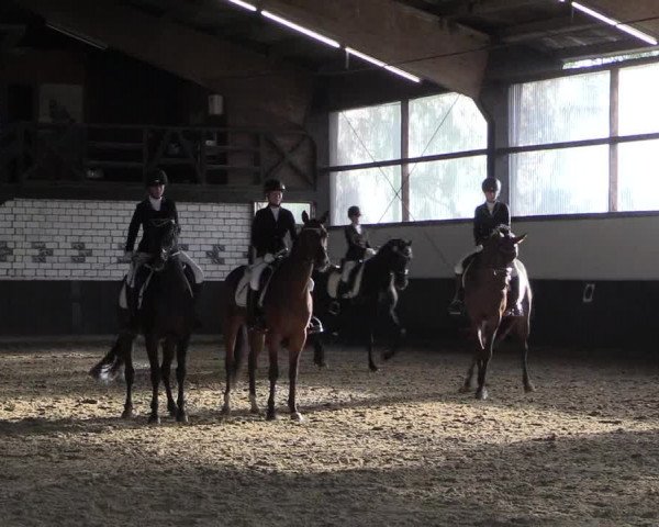 Reitturnier Bühren-Breckerfeld 2020