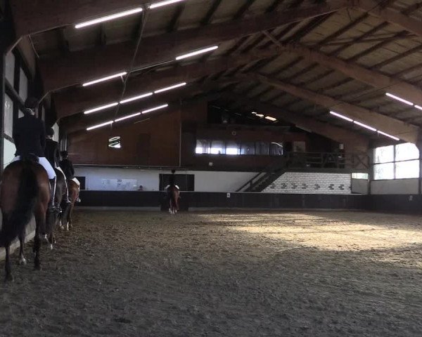 Reitturnier Bühren-Breckerfeld 2020