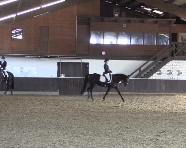 Reitturnier Bühren-Breckerfeld 2020