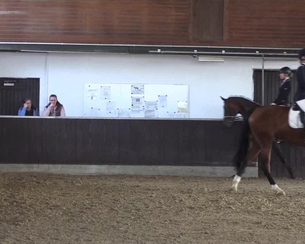 Reitturnier Bühren-Breckerfeld 2020