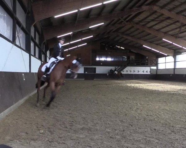 Reitturnier Bühren-Breckerfeld 2020