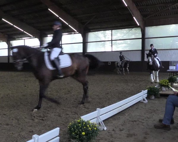 Reitturnier Bühren-Breckerfeld 2020