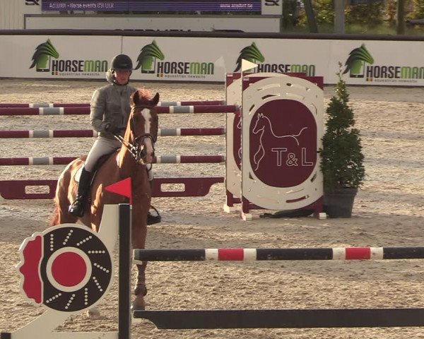 GOLDLEAGUE Lier - CS N 6323 - Azelhof