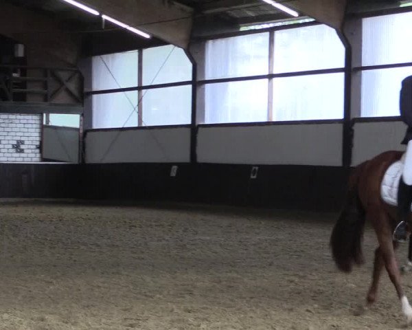 Reitturnier Bühren-Breckerfeld 2020