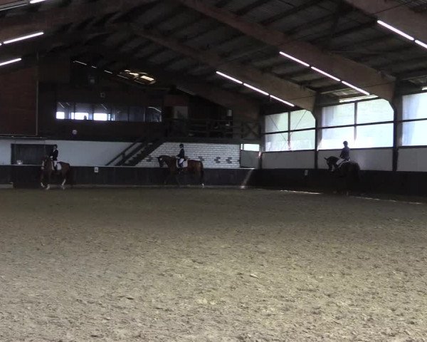 Reitturnier Bühren-Breckerfeld 2020